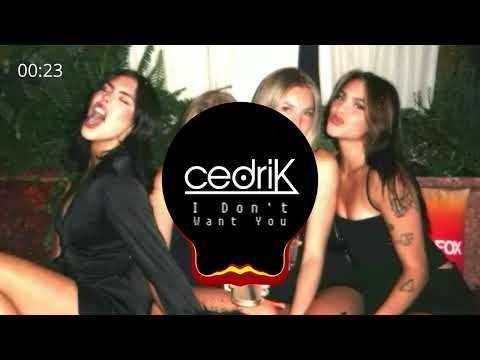 cedriK x DJ Xani - I Dont Want You (Festival Techno)