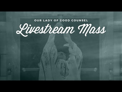 OLGC Plymouth 8AM Mass 11/15/2020 - 33rd Sunday in Ordinary Time