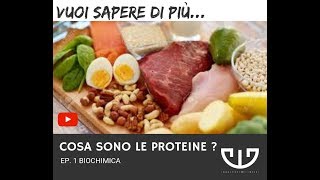 BIOCHIMICA DELLE PROTEINE