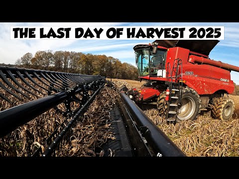 PLEASE DON'T MISS THE LAST HARVEST VIDEO FROM TRIPLE R FARMS 25'