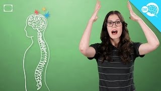 What Are Brain Orgasms And ASMR Whisperers?