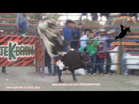 ¡MONITO DE LA COSTA vs LICUADORA! TOROS CALENTANOS DE CESAR ARROYO CHUPICUARO 2015