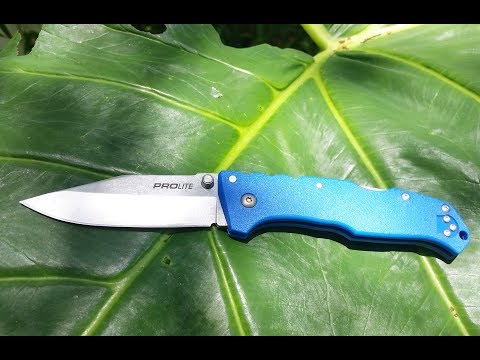 Cold Steel Pro Lite: 10 Things to Know !
