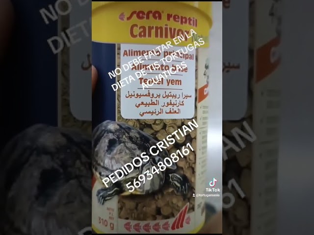 Vídeo relacionado con Croci 40005048 Alimentos Tortugas Acuáticas Naturales Crescita