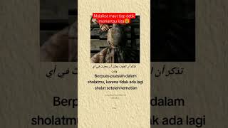 Download lagu #sampah masyarakat# ingat, malang sekejap mata# mp3