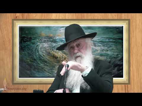 Hashem Is Everywhere