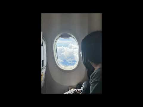 Z9 - She is totally out of my League (Remix)