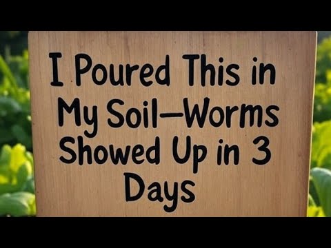 I Poured This in My Soil—Worms Showed Up in 3 Days