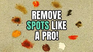 How to Remove Spots & Stains From Carpet Just Like a Professional Carpet Cleaner