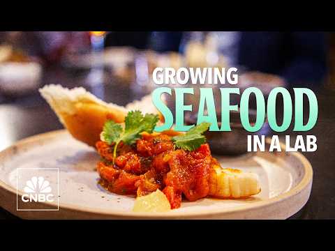 漁業正面臨危機--實驗室培育的海產品能否解決這個問題？ (The fishing industry is in crisis — could lab-grown seafood be the answer?)