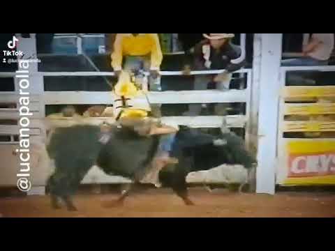 Elvis BENTO PEREIRA X Rio negro cia Califórnia