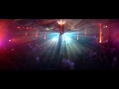 Sonic Species @ ReUnite Sessions