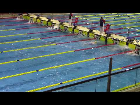 Circuito Inv. Madrid - 200 Espalda Masc. Final B - 05 11 17