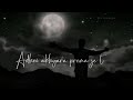 Se Janha Sina Bhari Sundar Adhei Akhyara Prema Je Tara Babusan Odia Song
