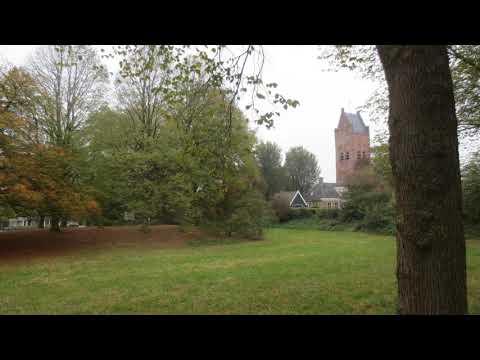 Vat mijne hand (JdH 119)