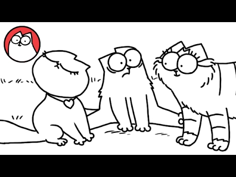 Looking for Love - A Simon's Cat Valentine's | COLLECTION
