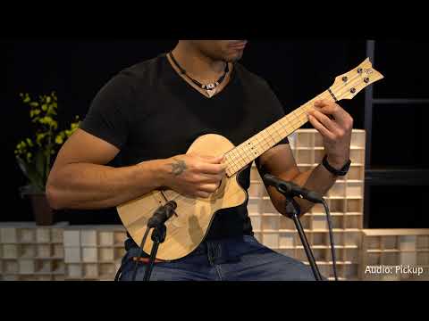 Ortega RUNAB-TE Bamboo Series Solid Bamboo Top & Neck 4-String Tenor Acoustic-Electric Ukulele w/Gig Bag image 19