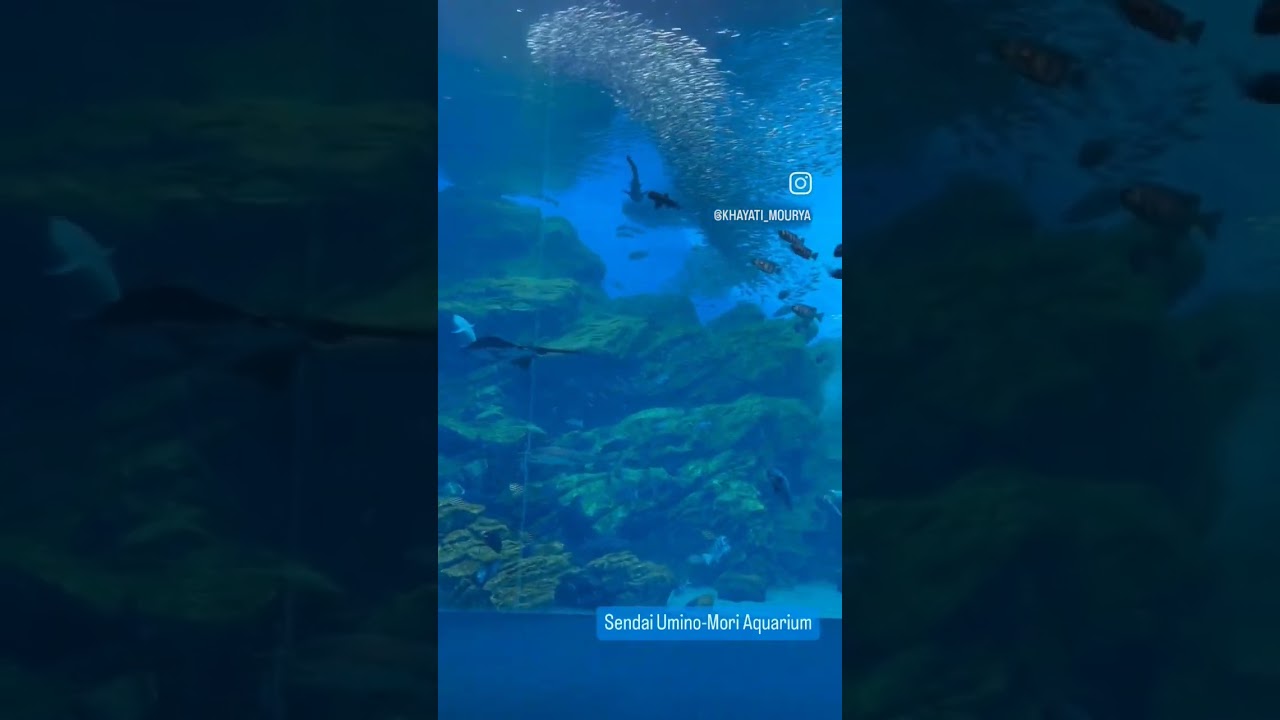 YouTube Short thumbnail