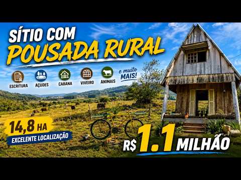 Vídeo