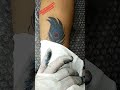 Mor Pankh Tattoo Prakash Tattoo Studio 8454869091 Name Tattoo