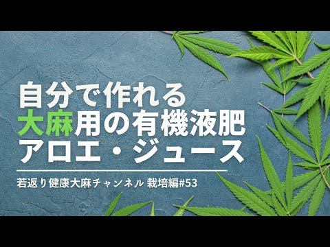 アロエベラジュースを自分で作る: これが仕組みです 植物