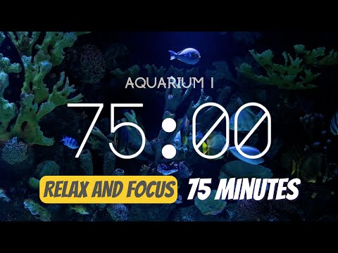 75 minute timer - Relaxing Aquarium atmosphere