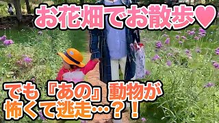 女の子とお花畑　でも動物は嫌いなのかな？