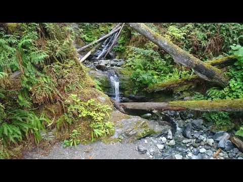 TRICO Mundt Creek Video