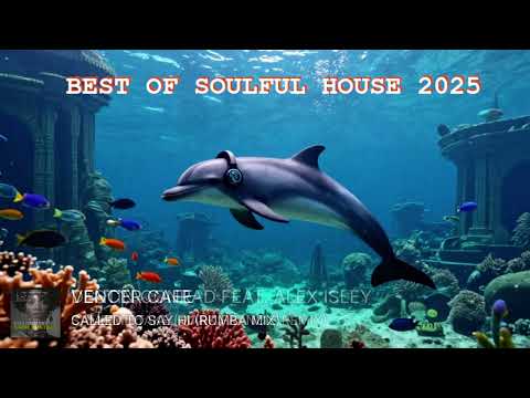 Soulful House Year Mix 2025