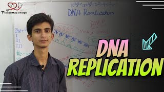 DNA replication easiest explanation in bangla || Biochemistry