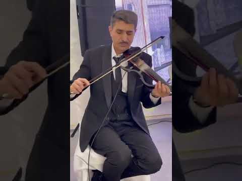 Бахтияр скрипка