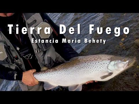 Giant 21lb Sea Trout - Rio Grande  - Tierra Del Fuego - Estancia Maria Behety