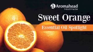 Sweet Orange Essential Oil Spotlight