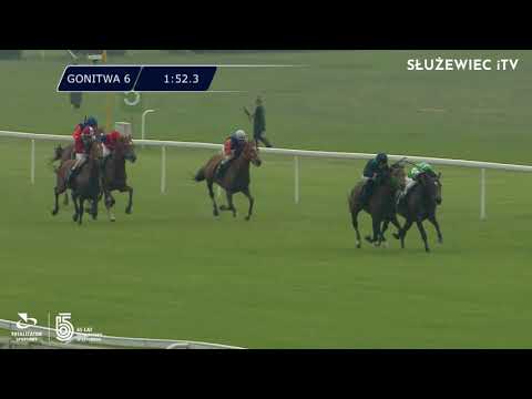 12.06.2021 (D13; G6; Tor: 2.8; 25°C)