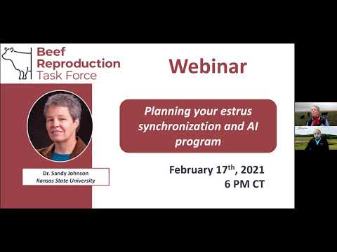 BRTF Monthly Webinar - Dr. Sandy Johnson - 02/17/2021