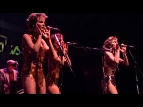 KID CREOLE & THE COCONUTS - Stool Pigeon - Live At Rockpalast (live video)