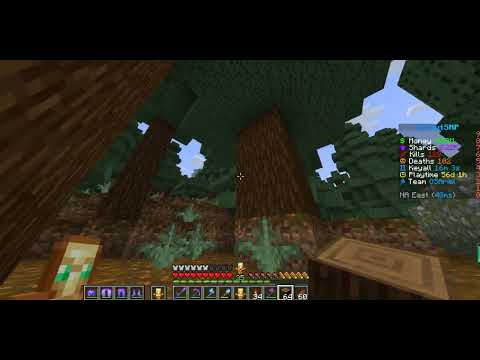 The correct way to use the Tree chopper on the donut smp