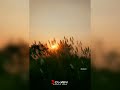 Mohabbatein Instrumental Status Nature Status Whatsappstatus Sky Status New Status Sunset Village