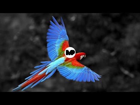 download lagu mp3 mp4 Adam Lyons Bow feat Uplink, download mp3 Adam Lyons Bow feat Uplink free download, download mp3 Adam Lyons Bow feat Uplink