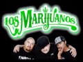 LOS MARIJUANOS - ESTA NOCHE