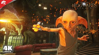 [閒聊] 霍格華茲家庭小精靈也太猛了吧？