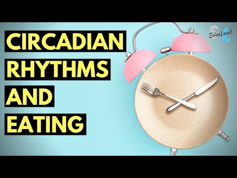 Circadian Rhythms and Time Restricted Eating with Andy Mant