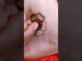 SHORTS2022 Feetmehndi Mehndi यूट्यूबशॉर्ट्स2022