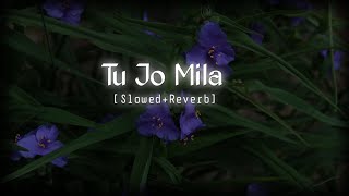 Download lagu Tu Jo Mila | Slowed Reverb | BAJRANGI BHAIJAAN | K.K. #viral #trending  @World_of_lo-fi_03 mp3