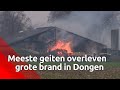 De meeste geiten overleefden de brand.