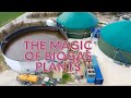 Unveiling The Magic Of Biogas Plants
