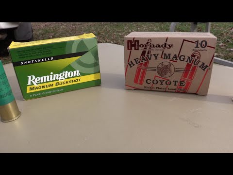 Remington VS. Hornady "00 Buckshot Test"