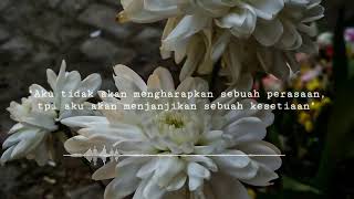 Download lagu Story' WA bucinn | cinta dalam hidupku~rossa  #storywakekinian #storywahits #storywabucin #lagurossa mp3