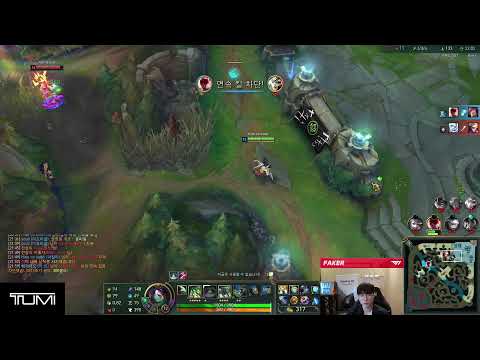 Never Disrespect Faker