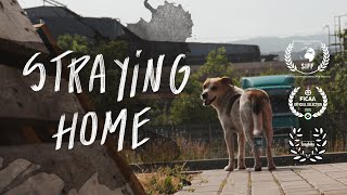 Straying home. A film essay with urban animals